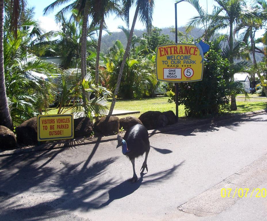 Flying Fish Point Tourist Park Hotel Innisfail Exterior foto